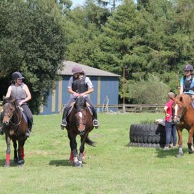 équitation